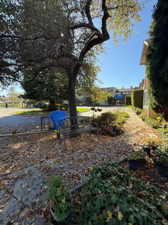 Building Photo - 206 Vista Prieta Ct