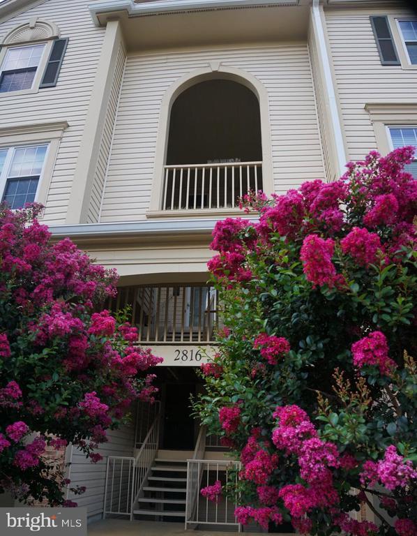 Building Photo - 2816 Emma Lee St