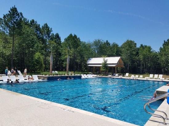 Building Photo - 203 Cheswood Forest Pl