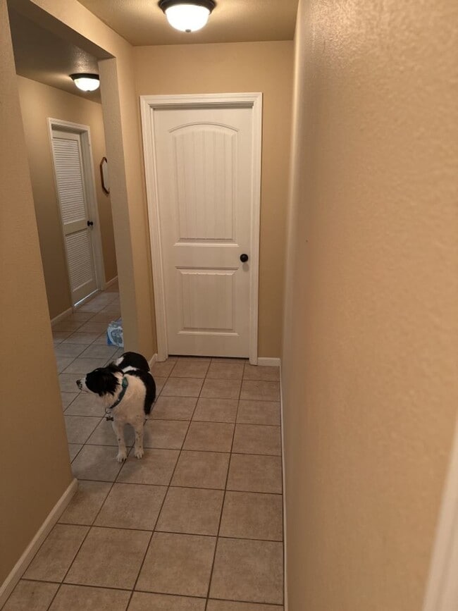 Building Photo - 184 Lyle Curtis Cir