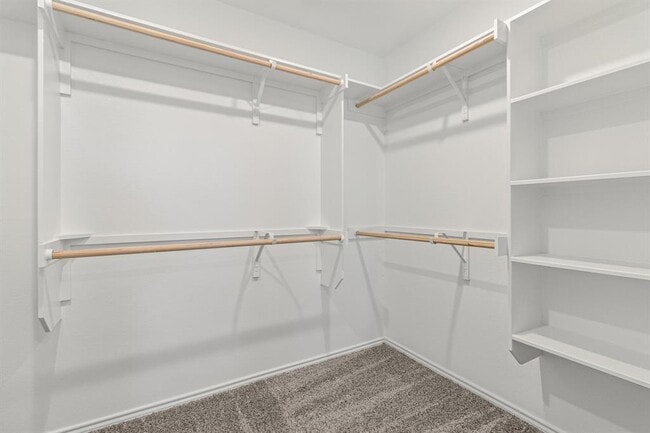 Building Photo - 7116 Silver Star Ln