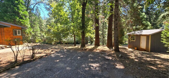 Building Photo - 3 bed 2 bath home surrounded by nature