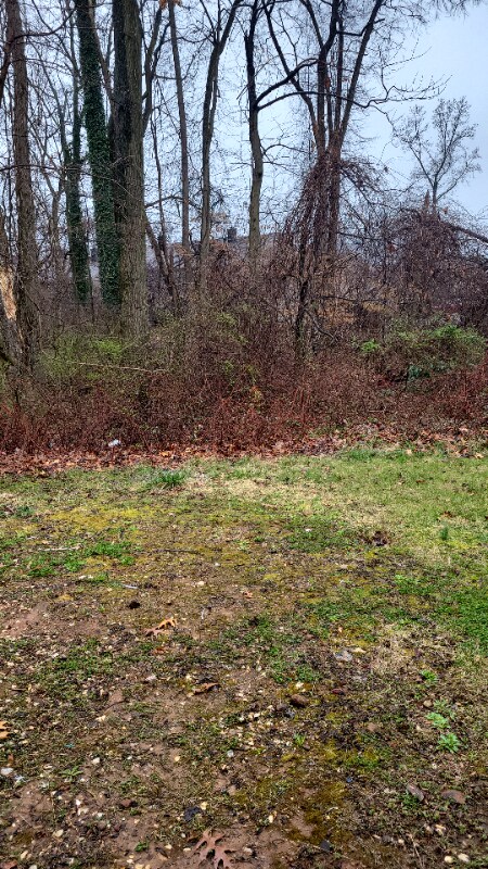 Building Photo - 6463 Woodgreen Cir