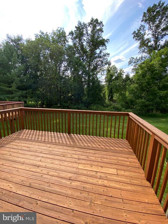 Building Photo - 3024 Juniper Ln