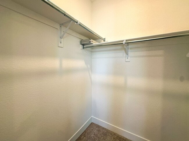 Building Photo - 11514 Toccata Trl