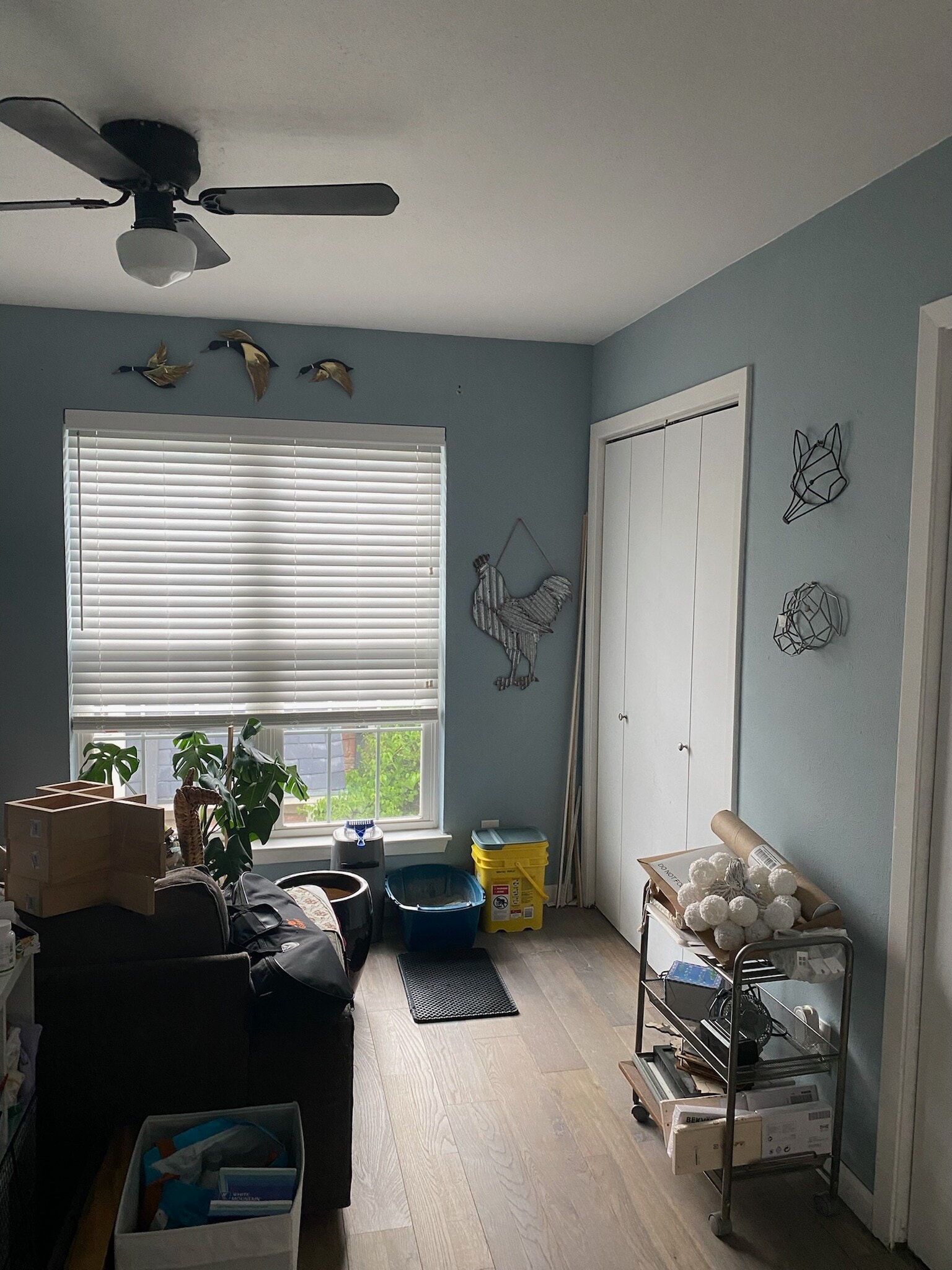 Bedroom 2/2 - 513 W Lookout Dr