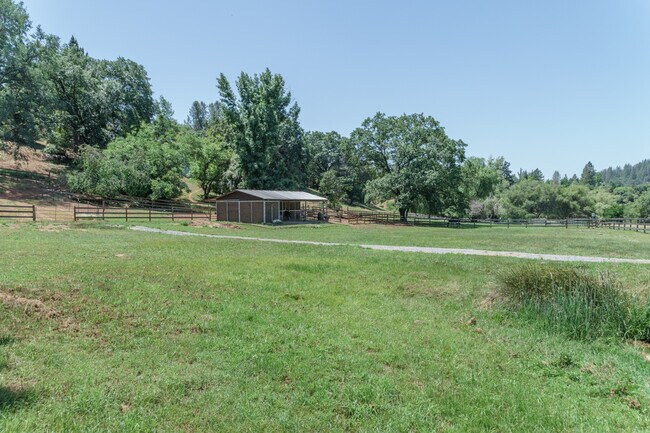 Building Photo - 1986 Lyons Creek Ct