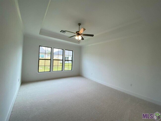 Building Photo - 4 Bedroom House in Denham Springs