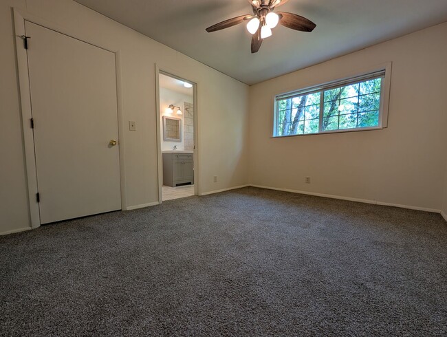 Building Photo - Nice 1 bed-1 bath apartment in Springfield