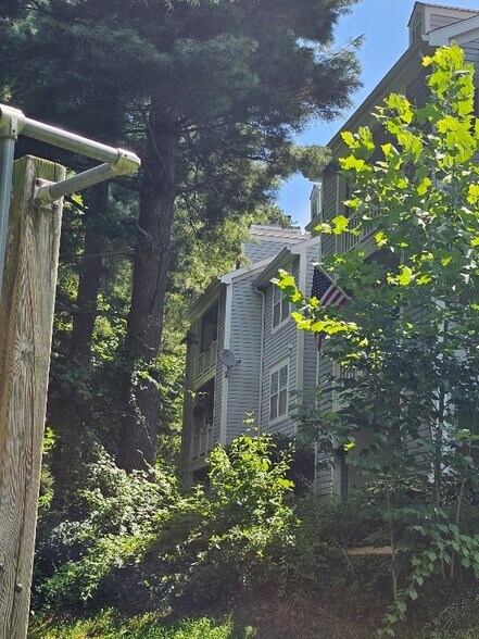 Building Photo - 12217 Eagles Nest Ct