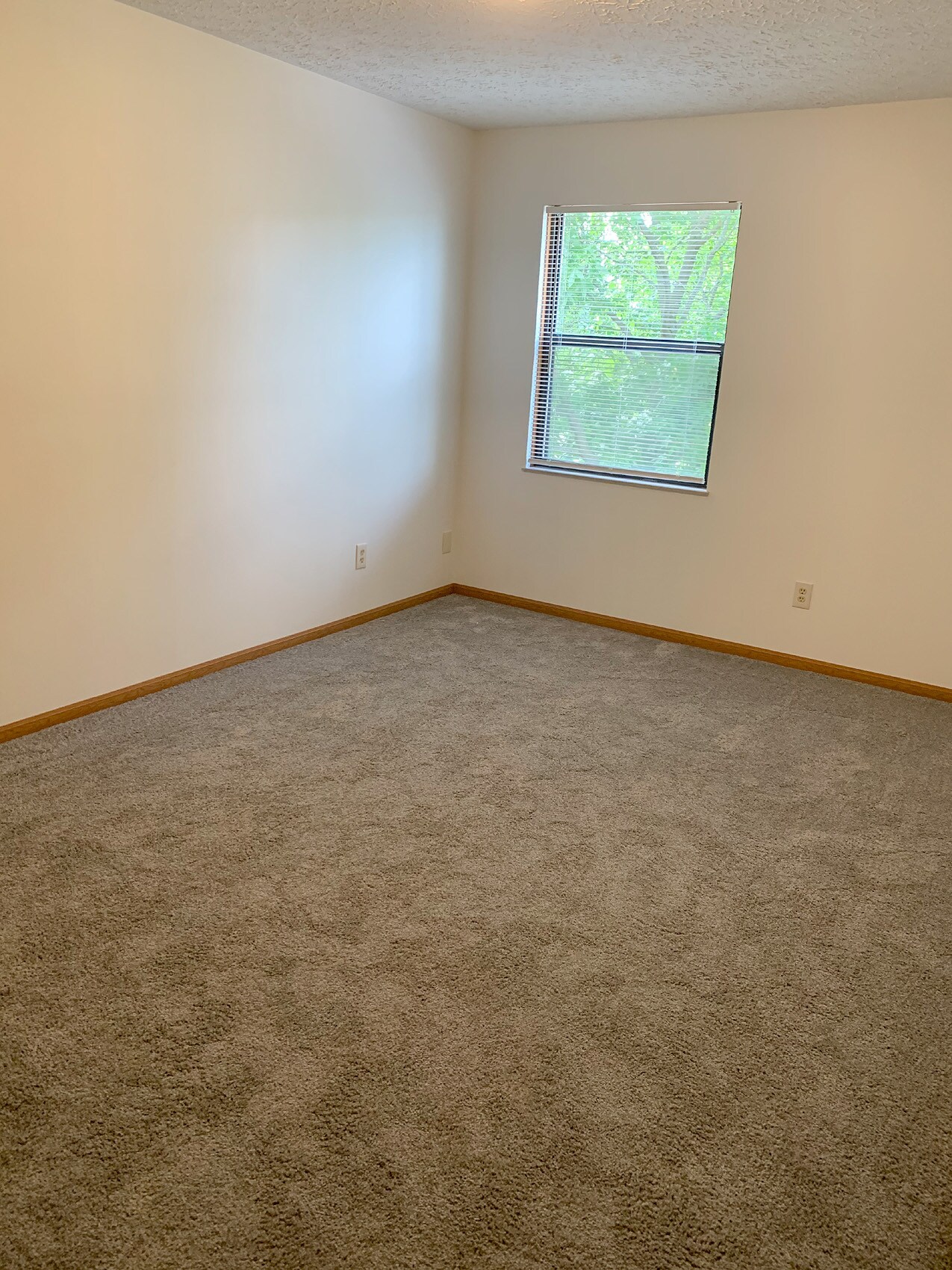 Building Photo - 6900 Gemstar Rd