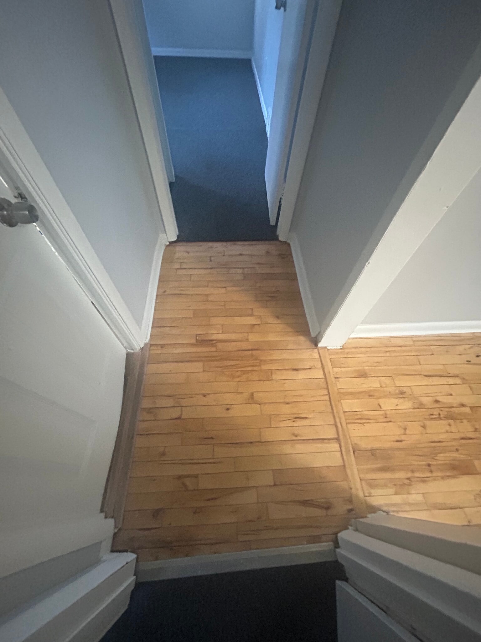 Hallway - 40 Moulson St