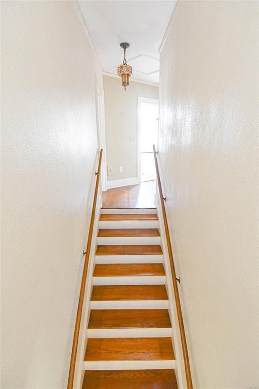 Building Photo - 1451 Watson St