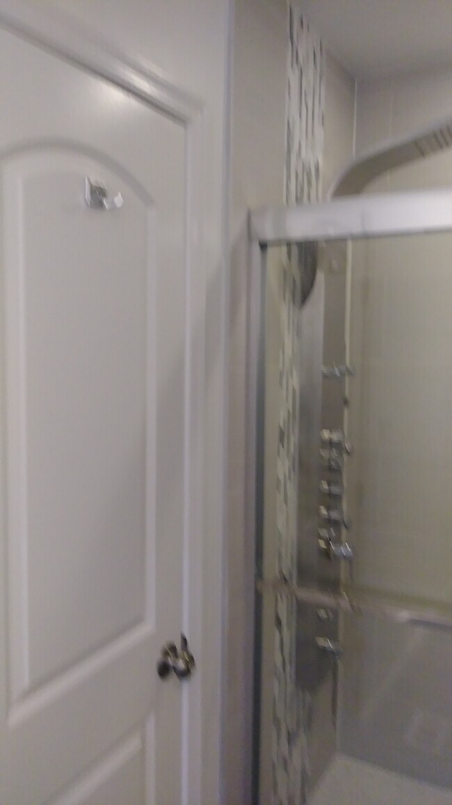 Spa Master Bath - 5 N Caroline St