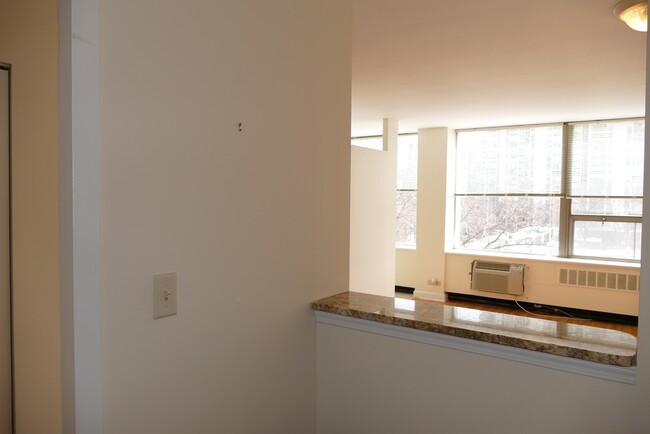 Building Photo - 1460 N Sandburg Terrace