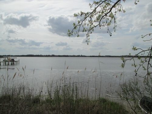 Building Photo - 1711 N King St