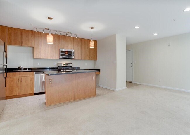 Large, modern Kithchen - 1101 Primrose Ct