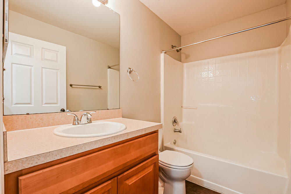 Building Photo - 3837 Cinnamon Fern Loop