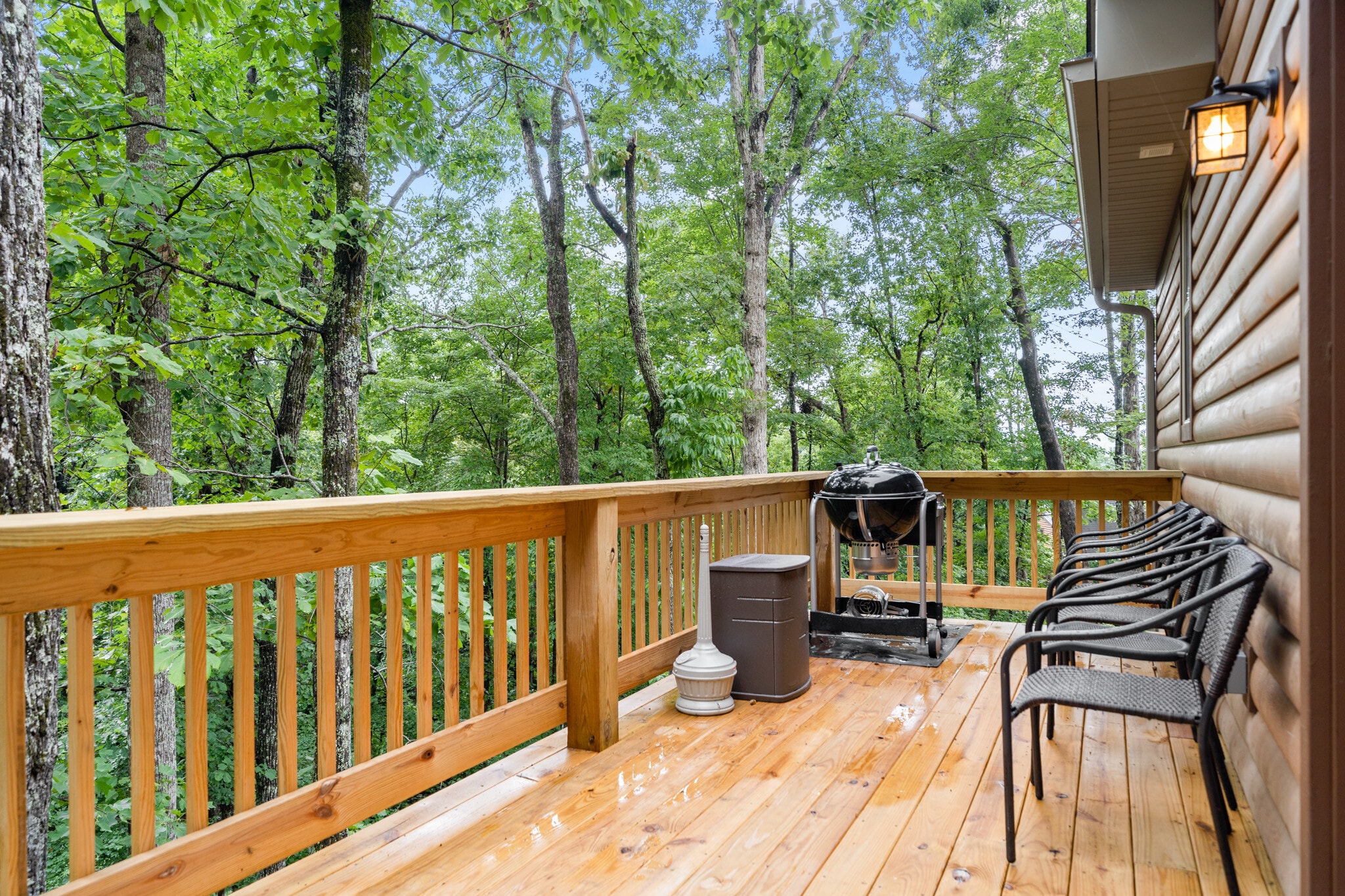 Back Deck - 131 Pier Point Dr