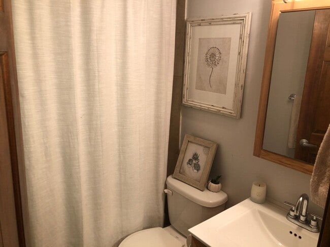 Building Photo - Large Lincoln Park 2 Bed, 2 Bath Duplex