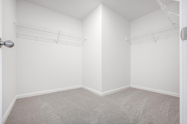 Building Photo - 621 Salisbury Cir