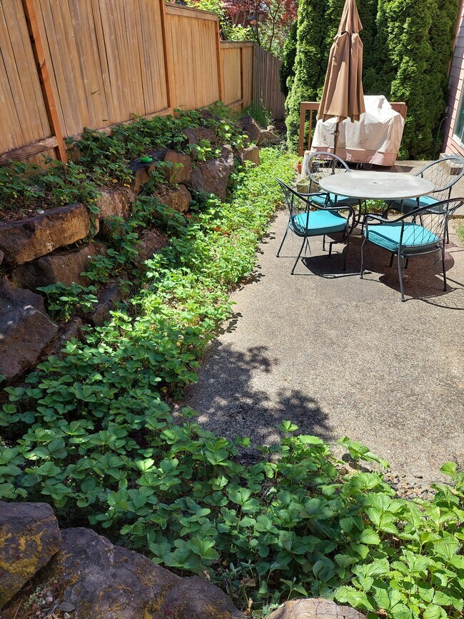 Backyard - Filled with Hood Strawberry Plants - 11310 NW Kimble Ct