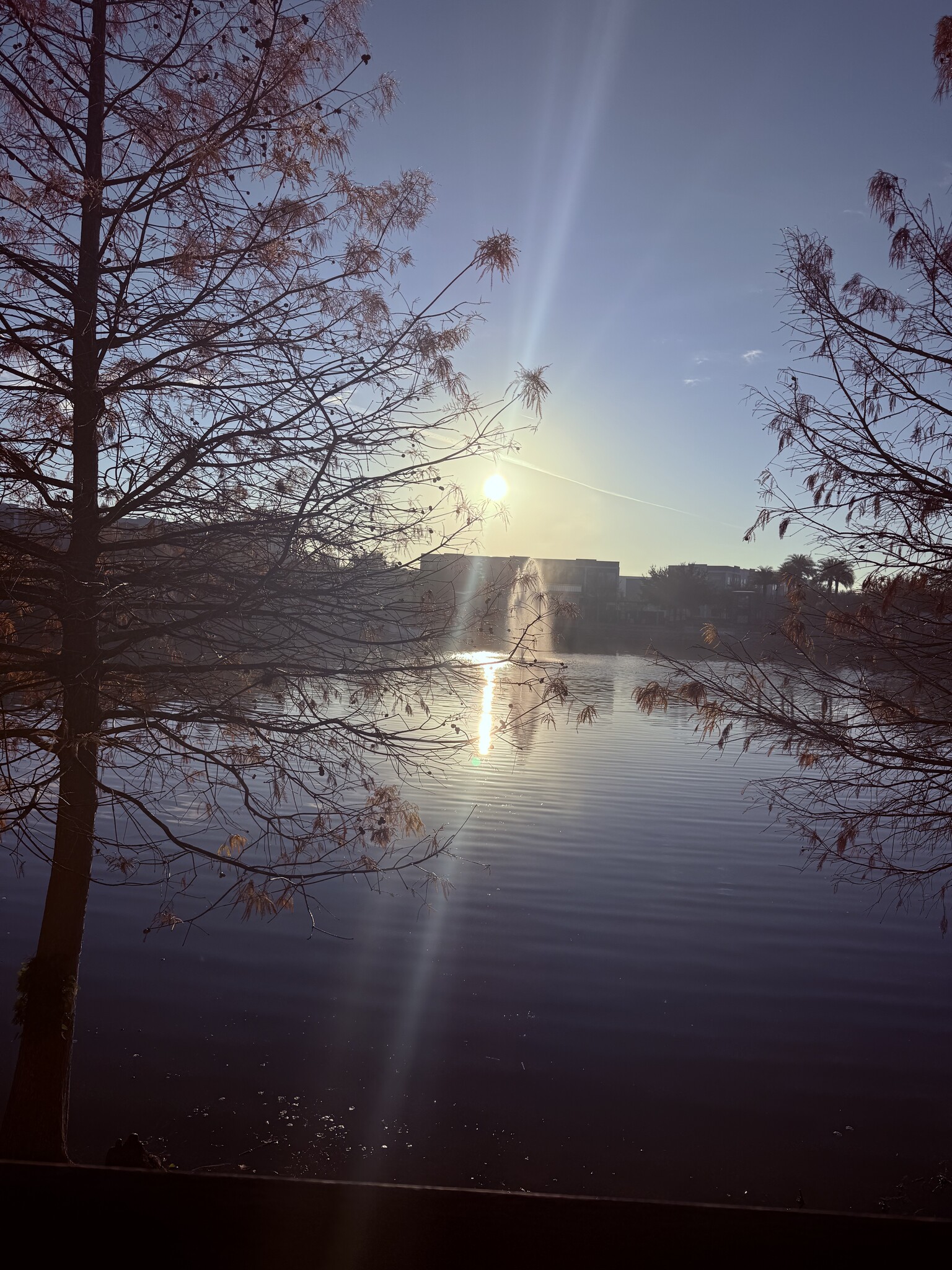 Building Photo - 105 Violet Vine Ln