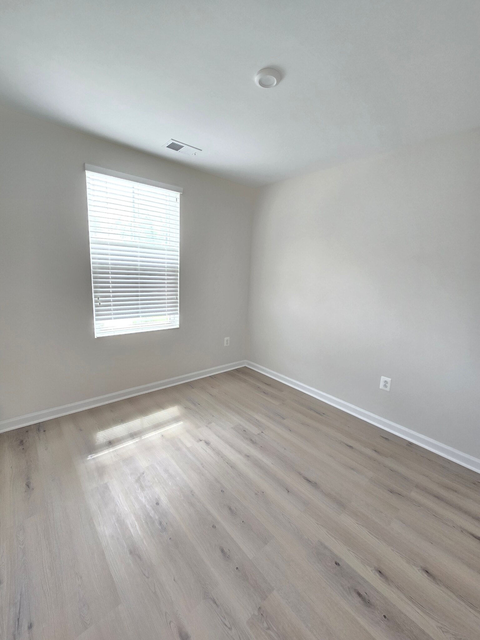 3rd Bedroom - 293 Sage Circle