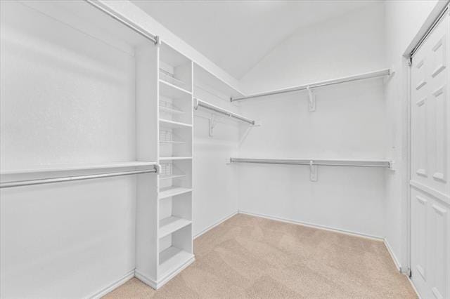 Building Photo - 8408 Falconet Cir