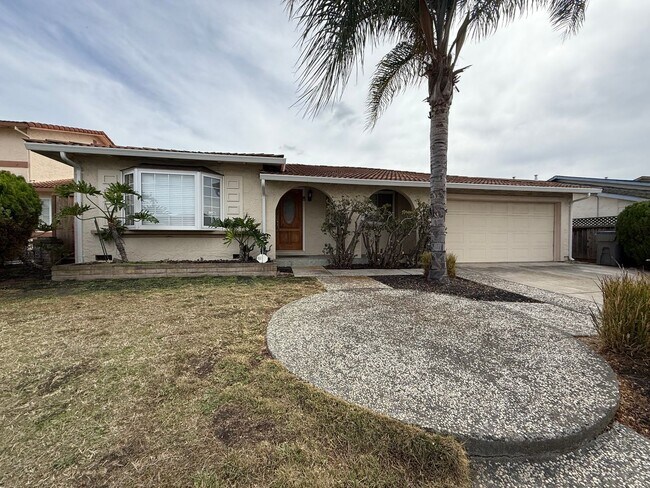 Primary Photo - Beautiful Home In The Heart of Berryessa Area