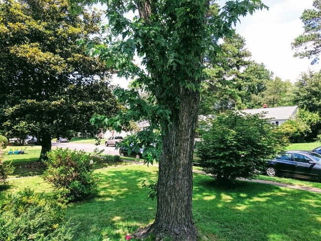 Building Photo - Spacious 3bdrm/2bth Home Located in a Well Established Neighborhood in Richmond's West End  Conve...