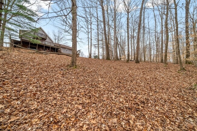 Building Photo - Lovely home on beautiful wooded corner lot