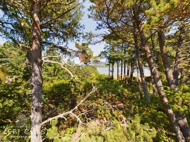 Building Photo - 26 Dune Point Dr