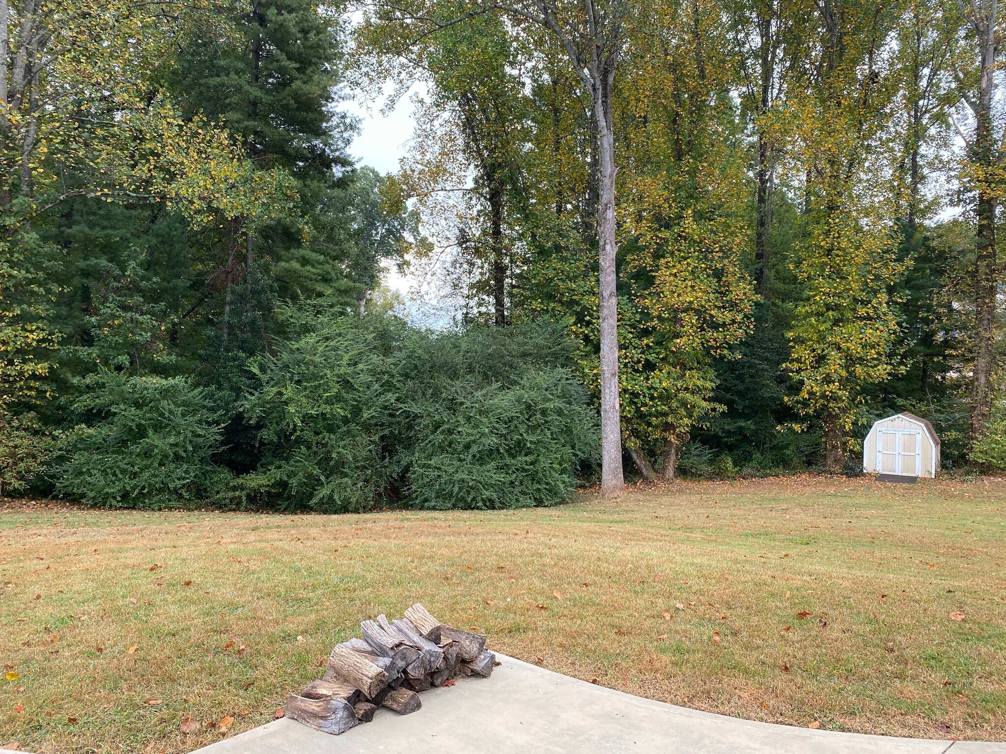 Building Photo - 100 Browning Dr