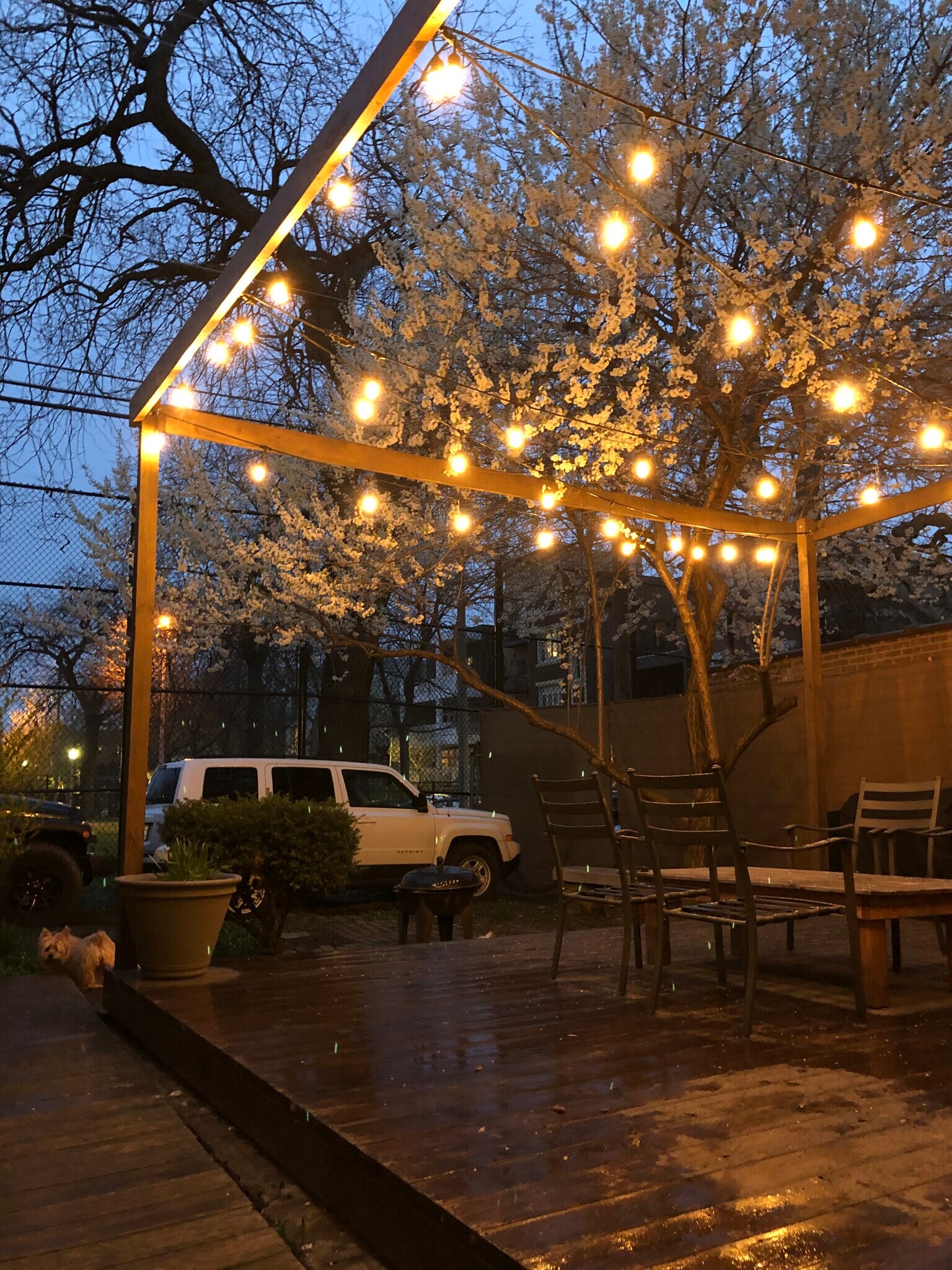 Building Photo - 822 N Wood St