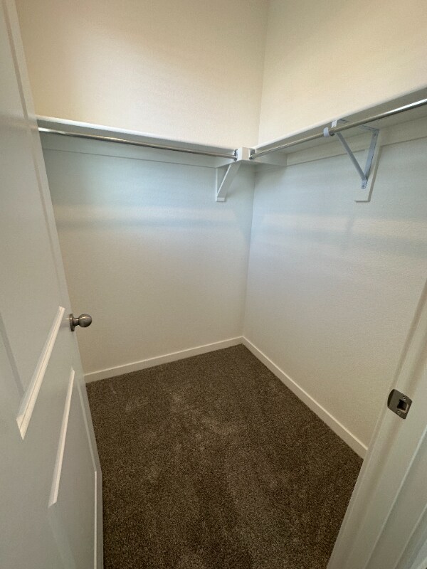 Building Photo - 4390 Timnath Pkwy