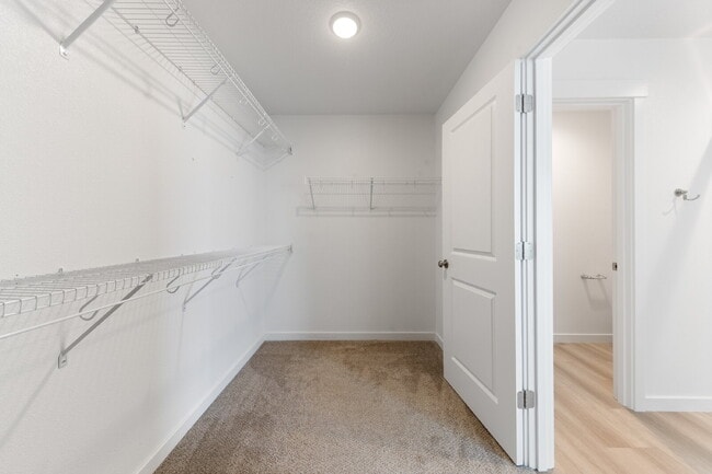 Building Photo - Large Recent Construction Home with Bonus Room!