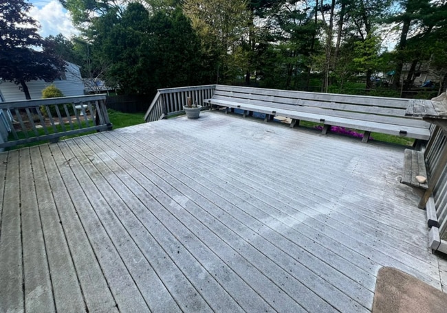 Building Photo - 257 Ellendale Cir