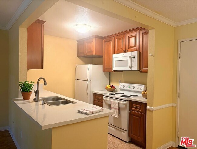 Building Photo - 805 Temple Terrace