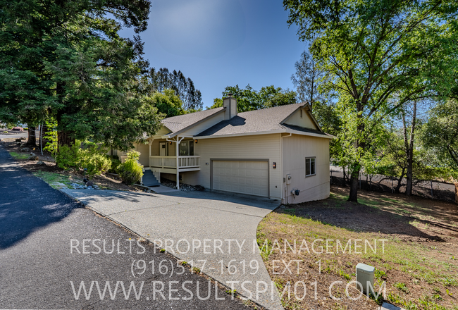 Primary Photo - Auburn Beauty - Available Now!