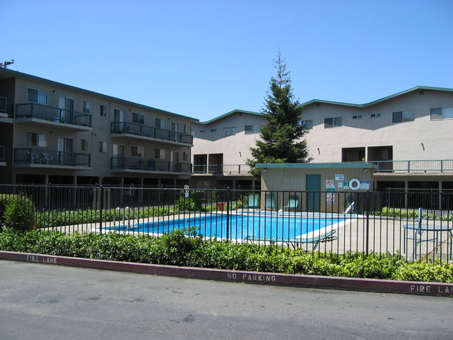 Pool photo - Bay Vista Apartments