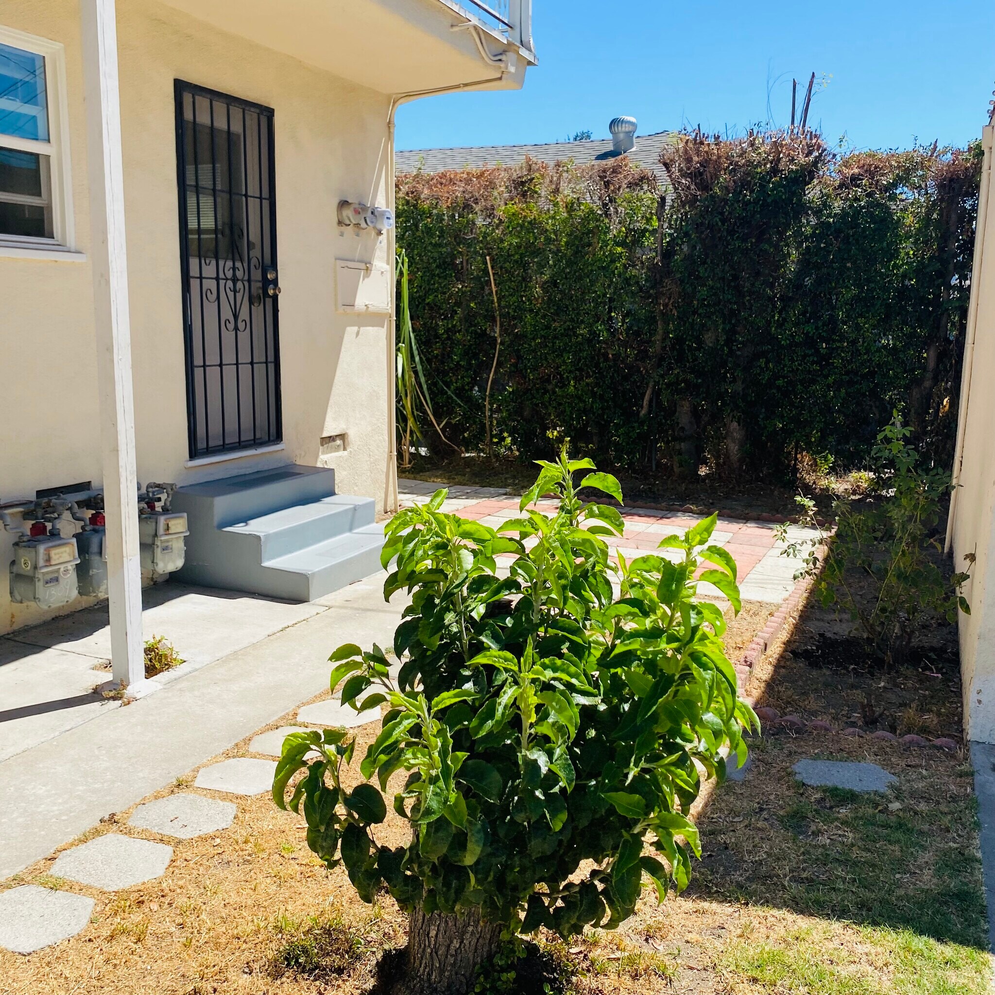 Patio - 1309 N Screenland Dr