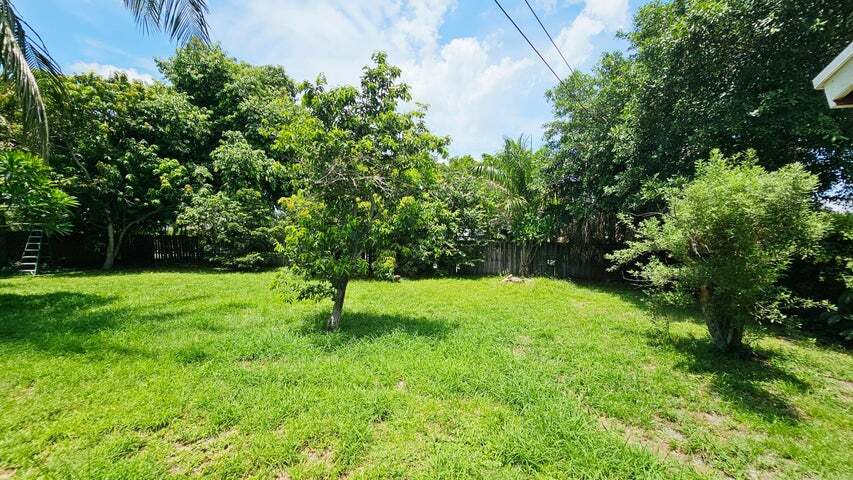 Building Photo - 911 Burch Dr