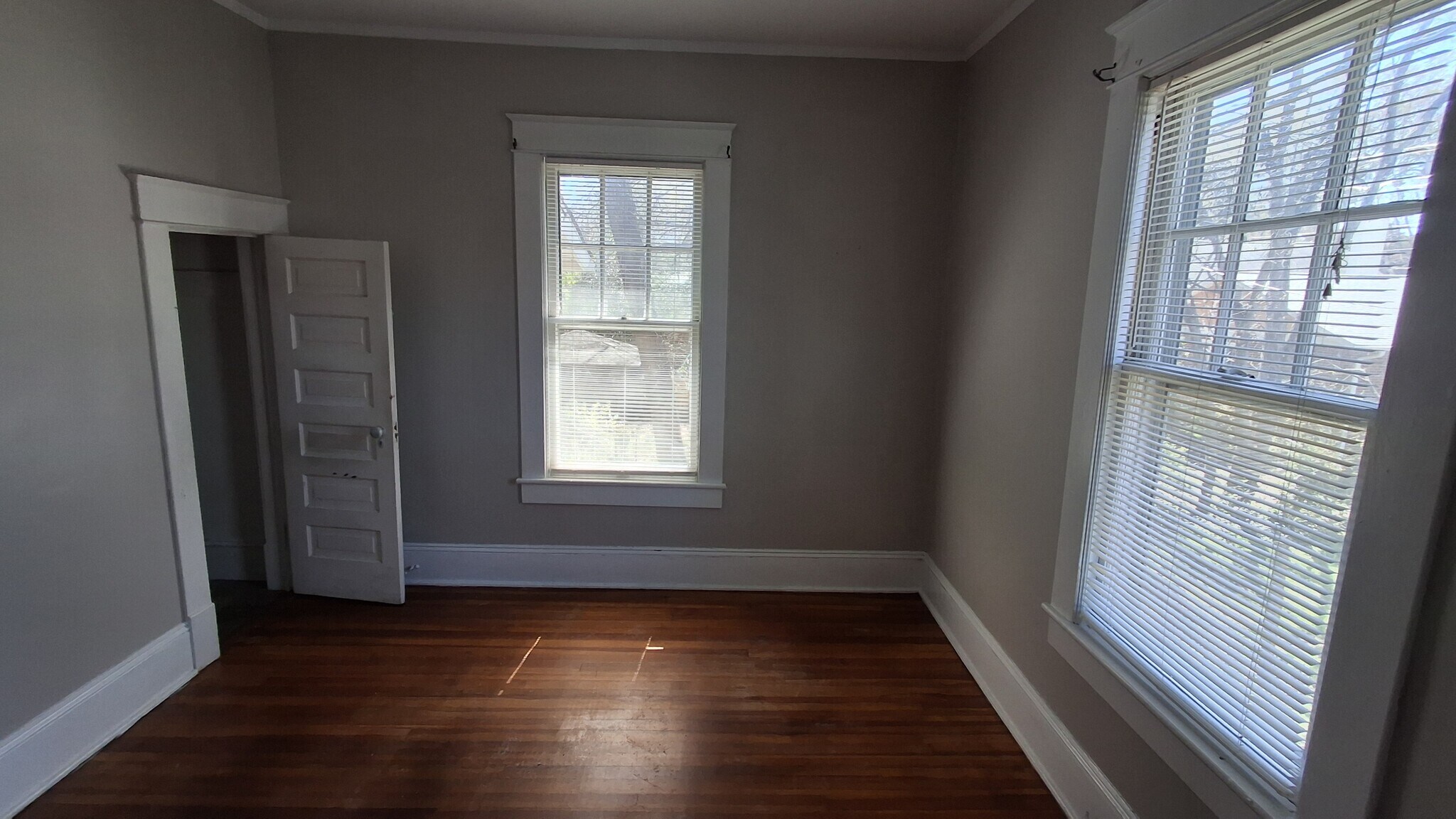downstairs bedroom - 607 Guilford Ave
