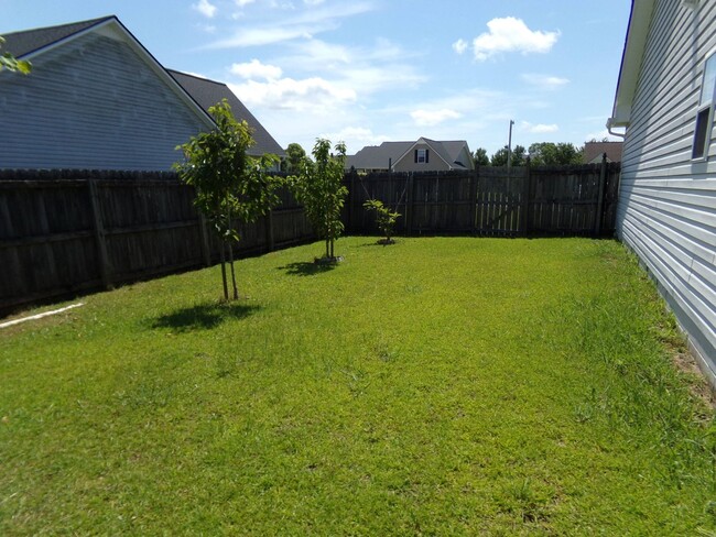 Building Photo - Charming Home in Havelock
