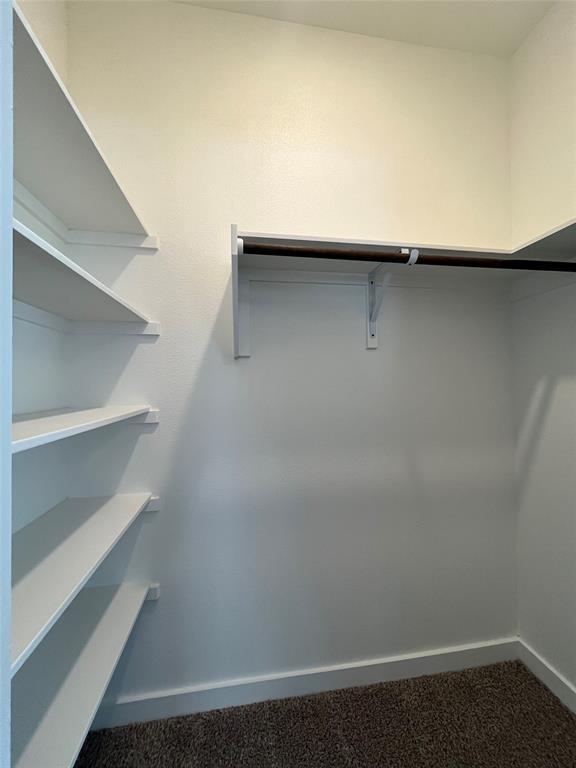Building Photo - 11600 Pastini Cir