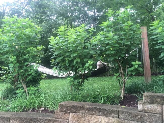 Building Photo - Beautiful 3Bd/2.5 Bath Goshen Woods Property