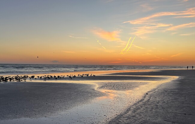 Sunsets are gorgeous along the white sands of Siesta Key - 1642 Stickney Point Rd