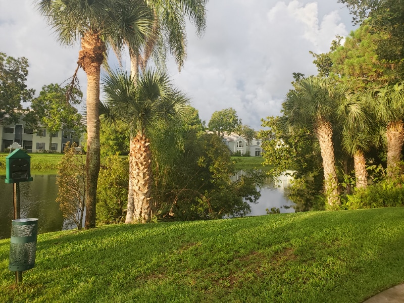 Building Photo - 2042 Alta Meadows Ln