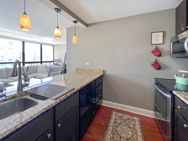 Building Photo - 1540 N La Salle Dr